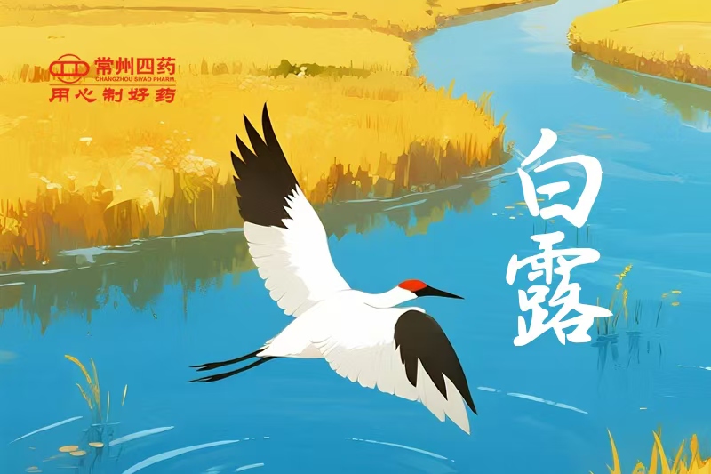 今日白露 | 一夜涼一夜，鴻雁南歸時