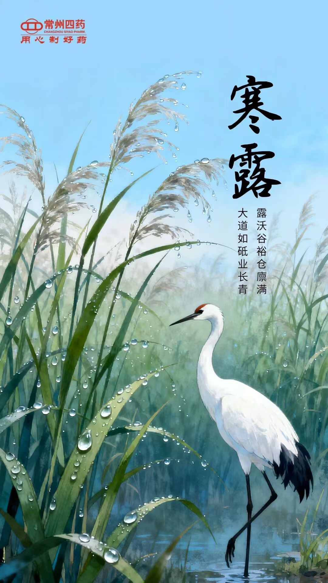 今日寒露|露重風(fēng)涼，記得添衣
